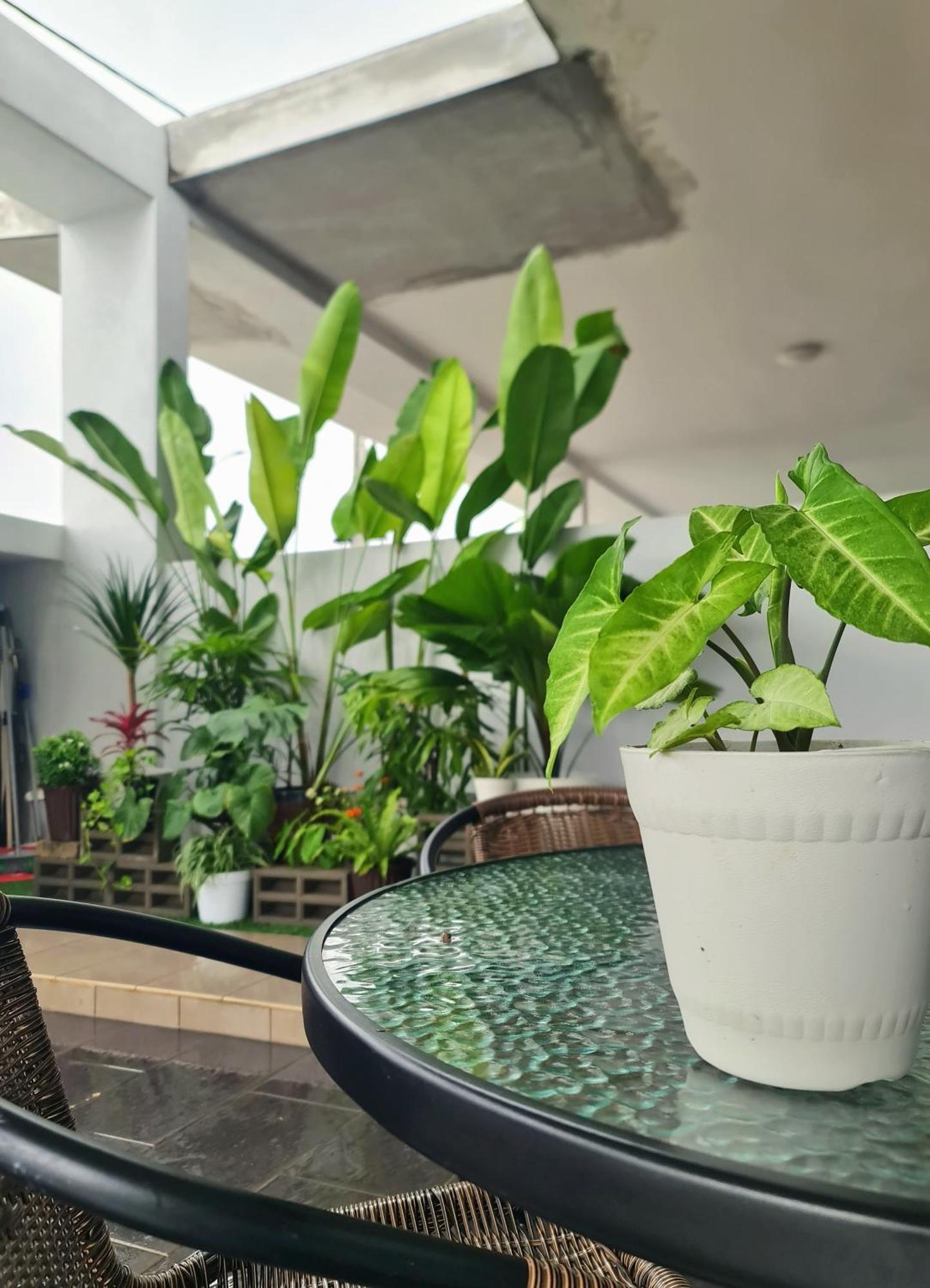 Holiday home Jonker Street New Cozy 20pax Swimming Pool Karaoke Malacca